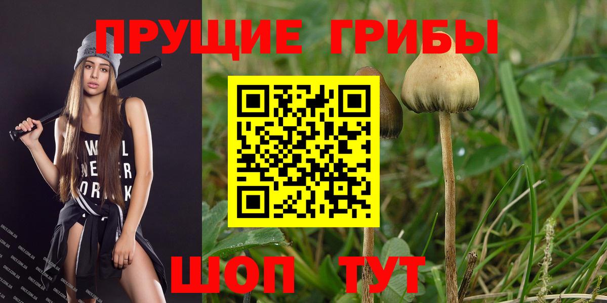 Канабис  ГАШ  Кимры  МЕФ кристаллы  Вход с VPN  ЭКСТАЗИ 