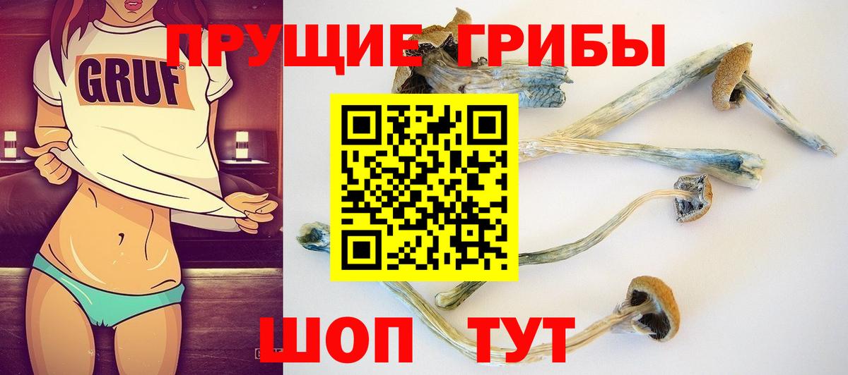 Псилоцибиновые грибы ЛСД  Псилоцибиновые грибы мухоморы  Вход с VPN  Кимры 